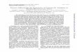 Influencing Reactivity Legionella Antigens …jcm.asm.org/content/17/5/909.full.pdf · Factors Influencing the Reactivity ofLegionella Antigens in ... geles1 (serogroup4), Dallas1E,Dallas2E,Cambridge