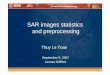 SAR images statistics and preprocessing - Earth …earth.esa.int/landtraining07/D3PB-4-LeToan.pdf · SAR images statistics and preprocessing. September 6,2007 D3Pb-4 SAR Statistics