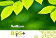 Welkom - bosplus.beuuid:13483c30-f2a4-4... · • Determination of area of 13 ha to be forested by Bolaina blanca • Training of villagers about agroforestry systems, more concretely