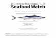 Blackfin, Skipjack and Yellowfin tuna - Seafood Watch · tuna, although more in the Eastern compared to the Western Atlantic. In 2013, 7,094 t of skipjack tuna were caught by other