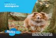 DOG 9 Hidden dangers - Blue Cross · DOG 9. Hidden . dangers. 2. s . d d t k t n . dangers. 3 Among the most common problems . are injuries following road accidents ... see the pet