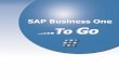 SAP® Business One To Go - websmp110.sap-ag.desapidp/011000358700001317792009.pdf · A diferencia de la mayoría de las demás aplicaciones de software que se centran en un área
