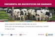 ENCUESTA DE SACRIFICIO DE GANADO - dane.gov.co · Destino de la carne en canal para consumo interno 3.3. Resultados departamentales (Vacunos y porcinos) ... r 5 6 1 4 7 0 o 6 0 1