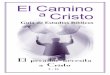 El Camino Cristo - bible-lessons.orgbible-lessons.org/languages/Spanish - Espanol/download-folders/01... · Es imposible que escapemos por nosotros mismos del hoyo de ... una vida
