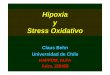 Hipoxia y Stress Oxidativo - Universitat de Barcelona · Proteina banda 3 en eritrocitos de ciclistas de montaña. Fragmentación (antígeno senescente) en relación con entrenamiento