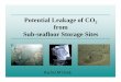 Potential Leakage of CO2 from Sub-seafloor Storage ... Marine.pdf · from Sub-seafloor Storage Sitesseafloor Storage Sites Rachel M Dunk . Q1: Where might sub-seafloor storage occur?