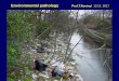Environmental pathology 13.12. 2017 - Semmelweis Egyetemsemmelweis.hu/patologia2/files/2018/02/EN_Environ-1712_Kerenyi.pdf · Environmental toxic agents are natural and man-made environmental