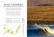 destinos ISLAS CANARIAS - Trasmediterranea · The Power of the Trade Winds ... Las razones que hacen de las islas Canarias un ... Mogán deserves to be your starting point