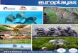 Exclusivo escapadas europlayas ESCAPADAS Del 12/04 al 19 ... · Exhibición de aves y pequeños mamíferos “el ciclo de la vida” Safari Serengueti* Selwo Aventura propone vivir