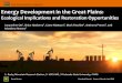 United States Department of Agriculture Energy Development ... · Energy Development in the Great Plains: Ecological Implications and Restoration Opportunities United States Department