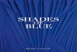 ShadeS - Opera .ShadeS of blue Under the High Patronage ... de soutien aux familles dans les camps