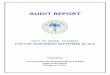 AUDIT REPORT - Florida Auditor General rpts/2016 miami.pdf · AUDIT REPORT CITY OF MIAMI, FLORIDA FOR THE YEAR ENDED SEPTEMBER 30, 2016 ... Armando J. Blanco Treasurer Eugene Codner