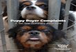 Puppy Buyer Complaints report - blog.· Puppy Buyer Complaints A Ten Year Summary 2007-2017 Table