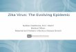 Zika Virus: The Evolving Epidemic - nichd.nih.gov · Giovanini Evelim Coelho Ministry of Health - Brazil. Caribbean and South America. Estimated Range Aedes aegypti and Aedes albopictus