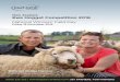 New Zealand Ewe Hogget Competition 2016 - Sheep · EE OET OMPETITION 2016 NATIONAL WINNER’S FIELD DAY 5 NEW ZEALAND EWE HOGGET COMPETITION The annual Ewe Hogget competition identifies