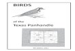 Birds of the Texas Panhandle for webpage - txpas.org · BIRDS of the Texas UNION HARDING OUAY CURRY ROOSEVELT Panhandle CIMARRON DALLAM Da art HARTLEY OLDHAM TEX' SHERMAN MOORE urnas