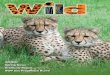 JUNE, 2015 VOLUME 18, ISSUE 1 - Roger Williams Park Zoo Spring Wild Mag... · JUNE, 2015 VOLUME 18, ISSUE 1 PUBLISHED FOR FRIENDS OF ROGER WILLIAMS PARK ZOO ... ZOONEWS COMING THIS