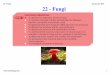 22 - Fungi - Fungi.pdf · 22  Fungi  3 January 23, 2014 It is suggested that there is a connection between the fly agaric and the modern incarnation of Santa Clause