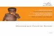 Mozambique Country Report - harvestplus.org · (Instituto Nacional de Estatistica 2003.2005). Project Objectives and Strategy The project disseminated OFSP in Mozambique