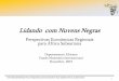 Lidando com Nuvens Negras - rhula.netrhula.net/v1.0/files/downloads/IMF REO Outreach.pdfInternational Monetary Fund, Regional Economic Outlook for Sub-Saharan Africa, October 2015