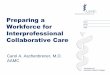 Preparing a Workforce for Interprofessional Collaborative Care · IPPIA is an interprofessional public-private partnership between federal agencies (HRSA, VA), foundations (Macy,