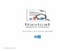 Table of Contents - Navicat · 1 Table of Contents Chapter 1 - Introduction 2 About Navicat Report Viewer 2 Installation 3 End-User License Agreement 5 Chapter 2 - User Interface