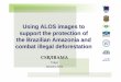 Using ALOS images to support the protection of the ... · the Brazilian Amazonia and combat illegal deforestation CSR/IBAMA Tokyo January 2011. INDICAR Indicator of deforestation