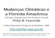 Mudanças Climáticas e a Floresta Amazônica - Fapesp · Mudanças Climáticas e a Floresta Amazônica ... northern tropical Atlantic. ... duração –Projetos LBA/ESECAFLOR e LBA/SECA