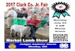 Monday July 24 9 AM Sheep Arena - clarkcoag.comclarkcoag.com/wp-content/uploads/2017/07/2017-Final-Sheep-Show.pdf · McNier, Gabrielle Waddle-Ewe-Do 946 138 Snell, Justin Waddle-Ewe-Do