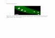 Supplemantal Figures - Genes & Developmentgenesdev.cshlp.org/content/suppl/2014/06/17/28.12.1351.DC1/... · testes of adult mice. ... Validation of differential abundance using qRT-PCR