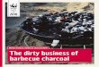 Market analysis, barbecue charcoal 2018 The dirty business ...· “Netto Marken-Discount promotes