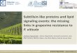 Subtilisin-like proteins and lipid signaling events: the ...gbg2018.u-bordeaux.fr/files/gbg2018/presentation/o67_GBG2018_Andre... · Andreia Figueiredo, Joana Figueiredo, Gonçalo