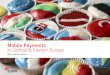 Mobile Payments in Central & Eastern Europepolskiekarty.info.pl/wp-content/uploads/2016/03/Mobile-Payments-in... · Introduction Mobile Payments in Central & Eastern Europe These