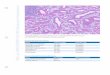 IHC on DISCOVERY ULTRA Research Instrument · DISCOVERY Anti-HQ HRP 760-4820 7017936001 DISCOVERY Inhibitor 760-4840 7017944001 DISCOVERY Purple kit (RUO) 760-229 7053983001 ... DS