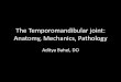 The Temporomandibular joint: Anatomy, Mechanics, Pathologybonepit.com/Lectures/The Temporomandibular joint Anatomy, Mechanics... · Outline •Anatomy •Mechanics and function •Indications