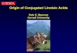 Origin of Conjugated Linoleic Acids - Office of Dietary ... · Griinari and Bauman, 1999. Dietary Factors Which Affect CLA in Milk Fat Dietary Factor Effect on CLA Content of Milk