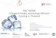 RAC NAMA Climate Friendly and Energy Efficient Cooling in ... · RAC NAMA Climate Friendly and Energy Efficient ... “Thailand is an important industry hub in the cooling ... It