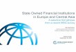 State Owned Financial Institutions in Europe and Central Asiapubdocs.worldbank.org/en/...Skamnelos-ECA-Presentation-KL-18Sep17.pdf · E-ECA (possible given the higher presence of