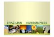 BRAZILIAN AGRIBUSINESS - jp.camaradojapao.org.brjp.camaradojapao.org.br/pdf/presentation/keidanren/a-07-03-06-port... · Oceania 1,431 100 1,402 98 1,288 90 1,073 75 716 50 319 22.3