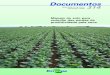 Documentos - sementesmineirao.com.br · Comportamento da soja em diferentes sistemas de manejo do solo em Londrina, no Norte do Paraná (Safra 2006/2007). Quanto maior o tempo de