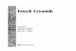 Fossil Crinoids - Cambridge University Pressassets.cambridge.org/052145/0241/sample/0521450241ws.pdf · Fossil Crinoids HANS HESS WILLIAM I. AUSICH CARLTON E. BRETT MICHAEL J. SIMMS