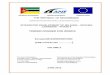 ADMINISTRACÃO ACIONAL DE STRADAS (ANE) - Eurocid · republic of mozambique direcÇÃo de projectos european union the republic of mozambique administracÃo nacional de estradas (ane)