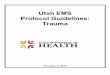 Utah EMS Protocol Guidelines: Trauma · 2017 2Utah EMS Protocol Guidelines Trauma Patient Care Guidelines These guidelines were created to provide direction for each level of certified