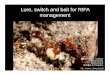 Lure, switch and bait for RIFA management - littlefireants.com lure and switch.pdf · LSB performs better on reducing RIFA than boiling water (workers and mounds) - Cheaper, less