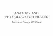 ANATOMY AND PHYSIOLOGY FOR PILATES - Learn Muscles · Spinal Joints - Neck •Flexors (sternocleidomastoid [SCM], scalenes, longus muscles) •Extensors (upper trapezius, levator