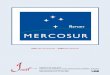 MERCOSUR Report N° 13 - Sciences Po1].pdf · MERCOSUR Report Nº 13, May 2009 Integration and Trade Sector ... PROMINP Mobilization Program for the National Petroleum and Natural