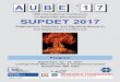 16th International Conference on Automatic Fire Detection ...nts.uni-duisburg-essen.de/aube/aube17/Downloads/AUBE17-SUPDET2017... · 16th International Conference on Automatic Fire