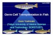 Germ Cell Transplantation in Fish - UGent · Larvi 2009 Germ Cell Transplantation in Fish Goro Yoshizaki (Tokyo University of(Tokyo University of Marine ScienceMarine Science and
