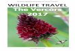 The Vercors, species list and trip report, 26 June to 3 ...wildlife-travel.co.uk/wp-content/uploads/2017/09/Vercors2017-Trip... · The Vercors, species list and trip report, 26th