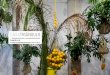 DANIEL LIE - Casa Triângulo · ... plantas tropicais, lixeira, sistema de balança em ... Elefante branco com paninho em cima, curadoria de ... ateliê da artista plástica Eliane